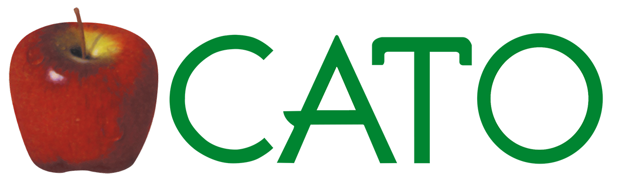 Cato